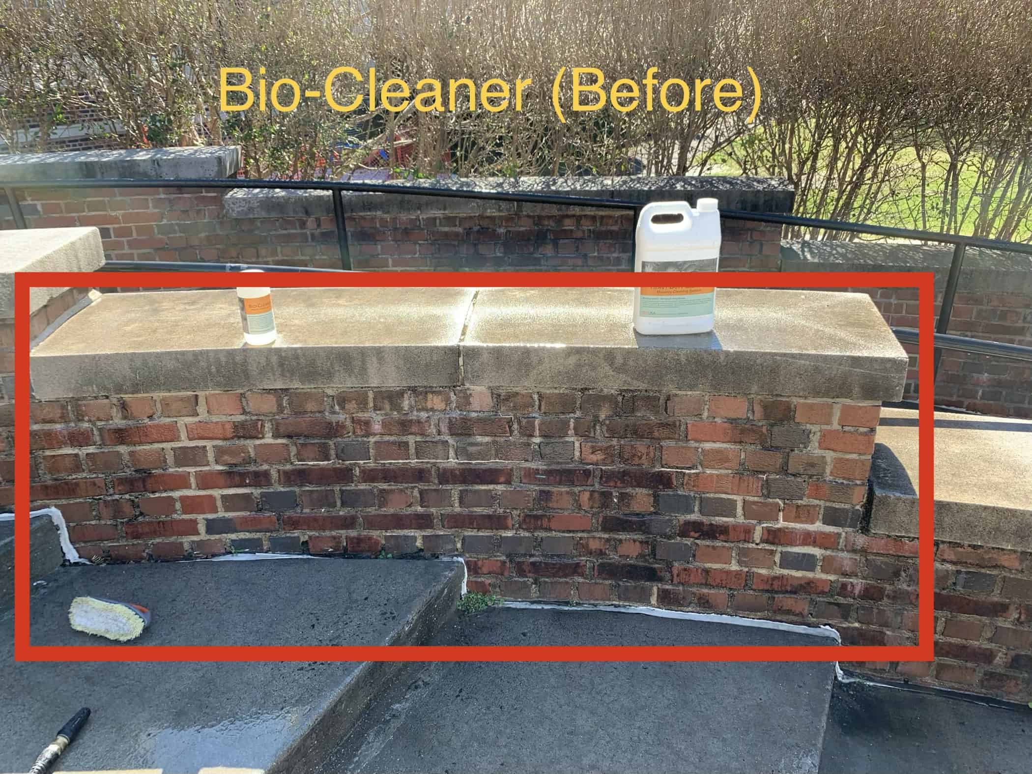 Bio Cleaner Before
