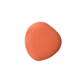 Salmon - Old Fashioned Milk Paint